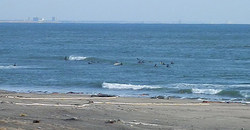 130303eagle1.jpg