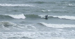 130304taito2.jpg