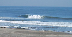 130306eagle2.jpg