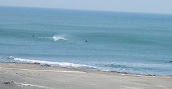 130308eagle1.jpg