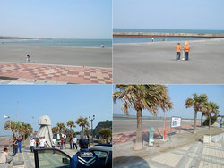 130310obd.jpg