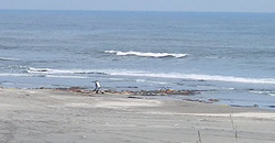 130312eagle1.jpg