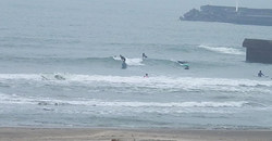 130327eagle1.jpg