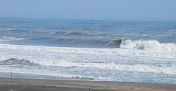 130404eagle2.jpg