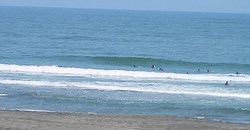 130513eagle1.jpg