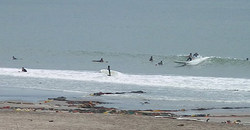 130526eagle1.jpg