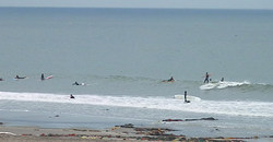 130526eagle2.jpg