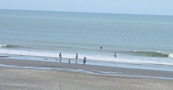 130528eagle2.jpg
