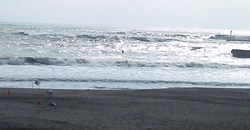 130601taito1.jpg