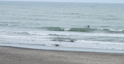 130607eagle1.jpg