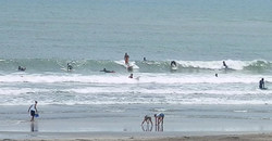 130610taito2.jpg