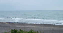 130611eagle1.jpg