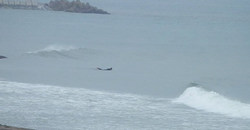 130620eagle-north.jpg