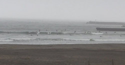 130629taito1.jpg
