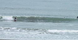 130701eagle1.jpg