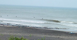 130705eagle1.jpg
