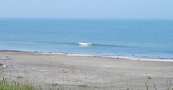 130708eagle1.jpg
