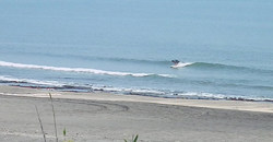 130710eagle1.jpg