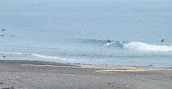 130711eagle1.jpg