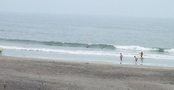 130725taito4.jpg