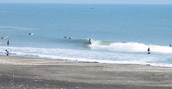 130727eagle3.jpg