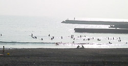 130728m-taito.jpg