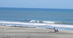 130804eagle1.jpg