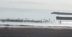 130806m-taito.jpg