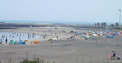 130809taito2.jpg