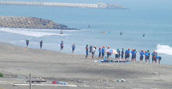 130811eagle1.jpg