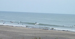130817eagle1.jpg
