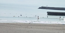 130821am-taito1.jpg