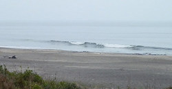 130823eagle1.jpg
