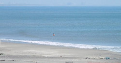 130830eagle1.jpg