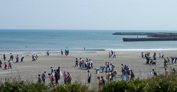 130830taito1.jpg
