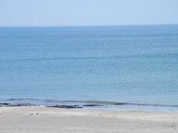 130831swim.jpg