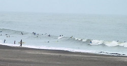 130915eagle-3a.jpg