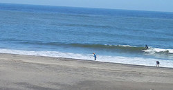 130920eagle1.jpg