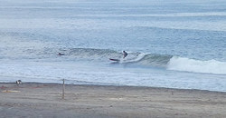 130921eagle1.jpg