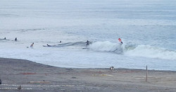130921eagle2.jpg