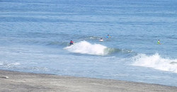 130922eagle1.jpg