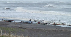 131016eagle1.jpg