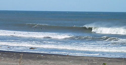 131027eagle2.jpg