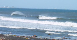 131027eagle4.jpg