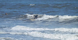 131031eagle1.jpg