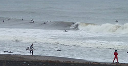 131110eagle-1.jpg