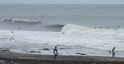 131110eagle-2.jpg