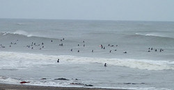 131110kireme-4.jpg