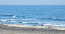 131124eagle1.jpg