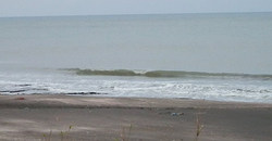 131128eagle1.jpg